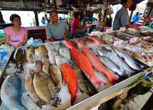 Thailand’s efforts against IUU fishing