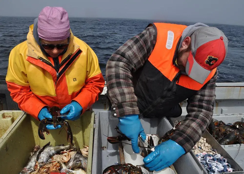 Lobster fishing