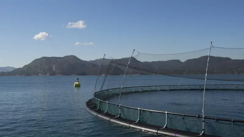 Egersund Net produce nets
