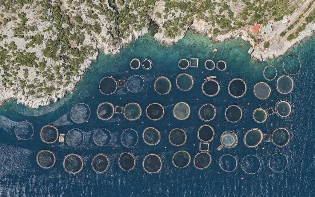 00_66919_Fish-Farms