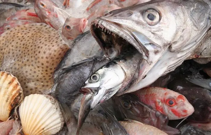 UK seafood consumption crisis