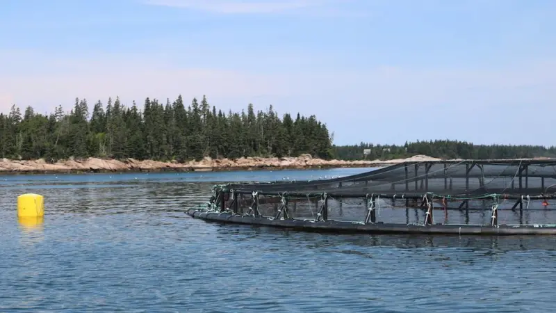 fish farm
