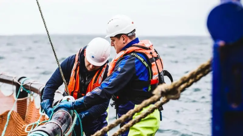 Salmon farming