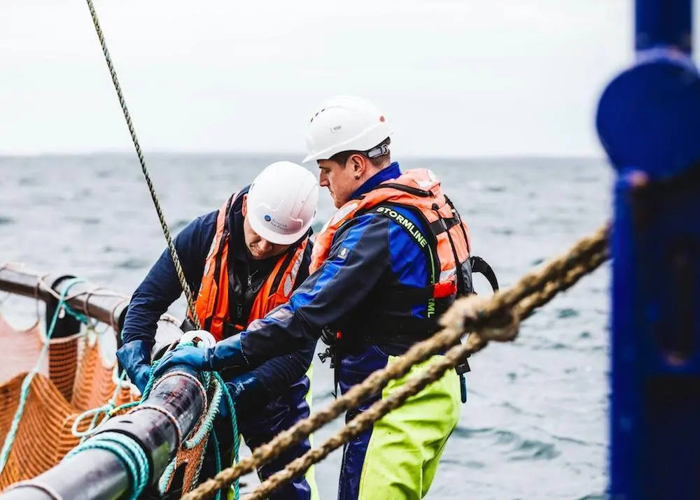 Salmon farming