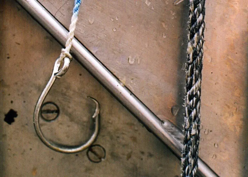 Fiskevegn and Mustad in closer co-operation