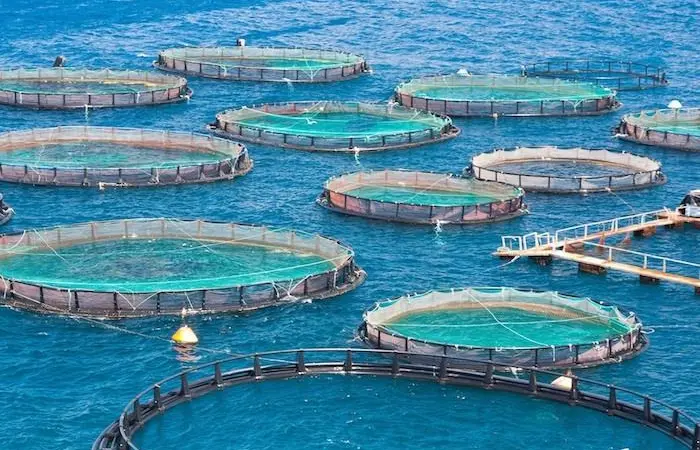 Fish farm