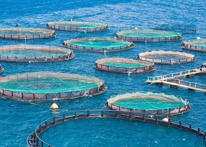 Fish farm