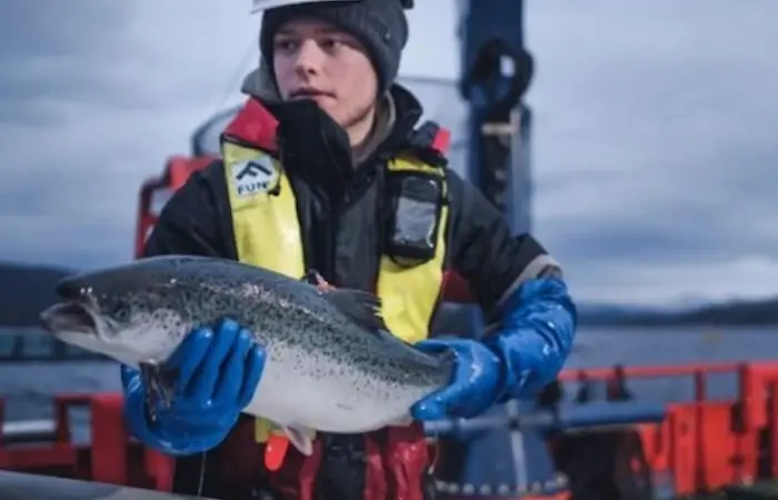 Cermaq introduces fish welfare policy