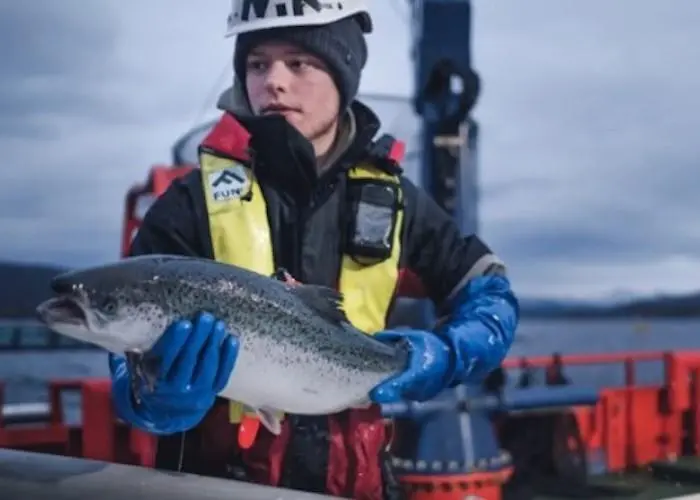 Cermaq introduces fish welfare policy