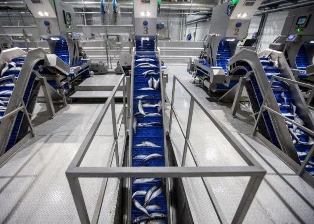 Skaginn 3X is opening a new service office on Norway Photo: Skaginn