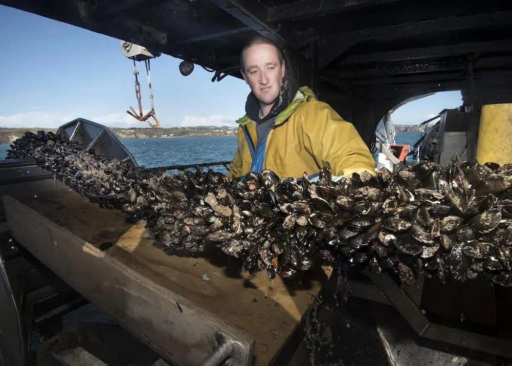 Cornish new dawn for UK aquaculture