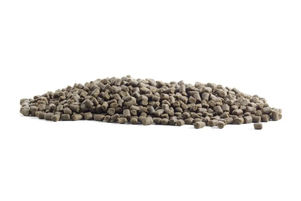 00_67025_FishFeed