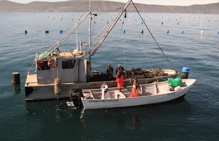 Ocean sustainability