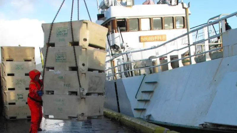 ISI acquires Solo Seafood