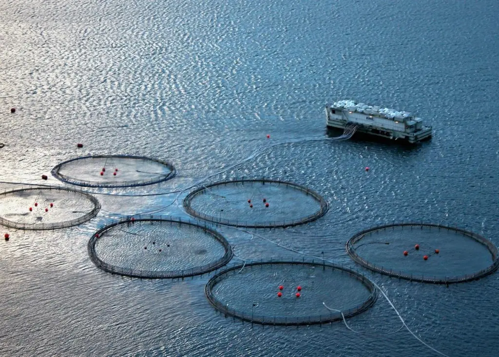 00_67058_Fish-Farm