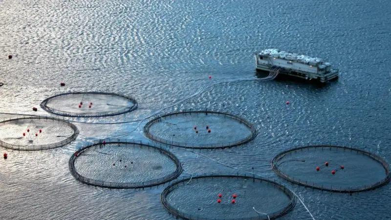 00_67058_Fish-Farm