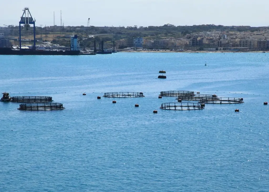 00_67059_Fish-Farm2