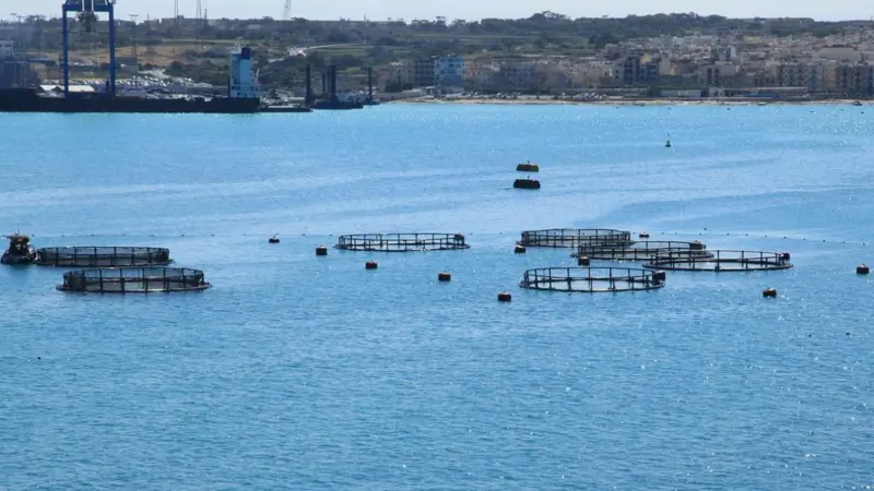 00_67059_Fish-Farm2