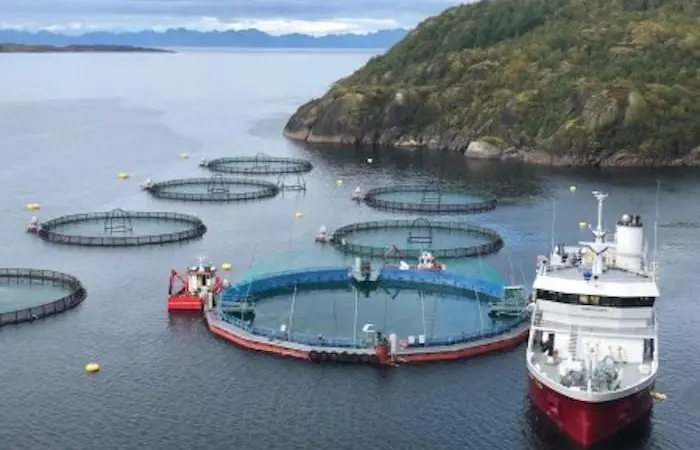 Cermaq fish farm