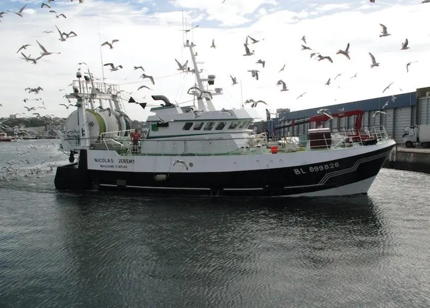 EU fishing fleet’s high profitability