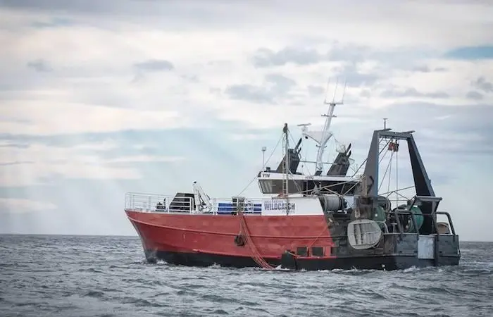 Boat in Commonwealth fishery