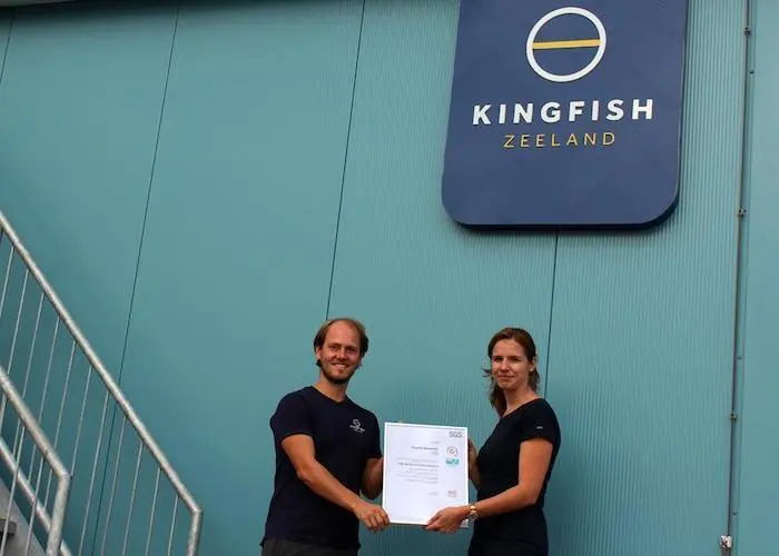 Kingfish Zeeland
