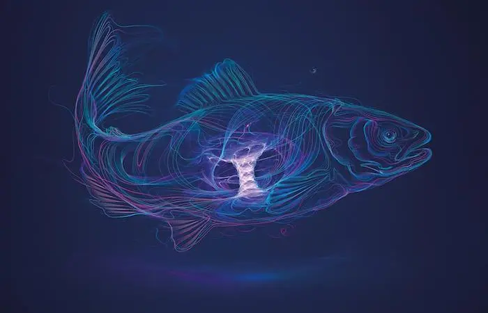 Phytase benefit trials