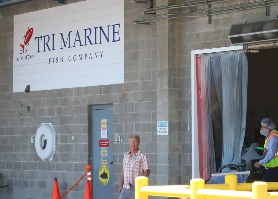 San Pedro processing plant