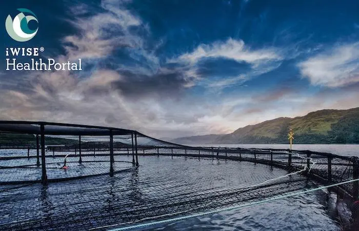 iWISE HealthPortal