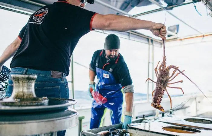 Lobster fishing