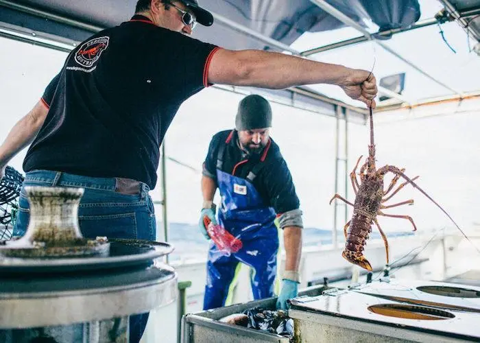 Lobster fishing