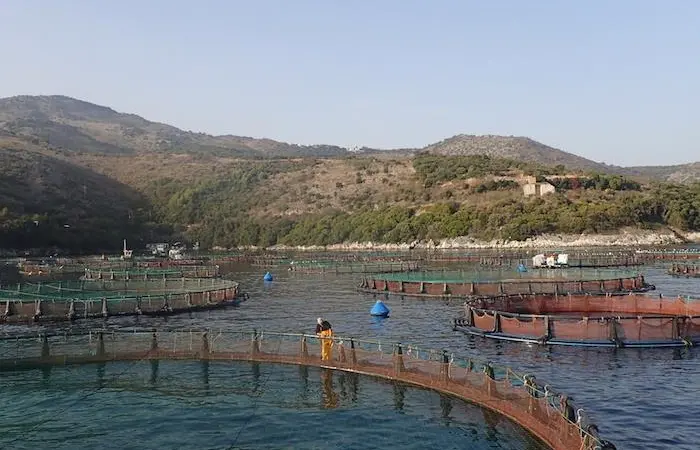 Offshore Farming - No Longer a Novelty