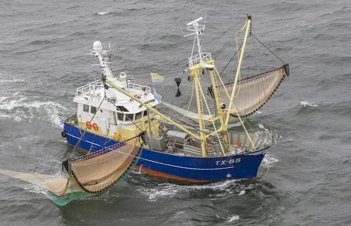 Texel shrimper, first newbuild for TCD
