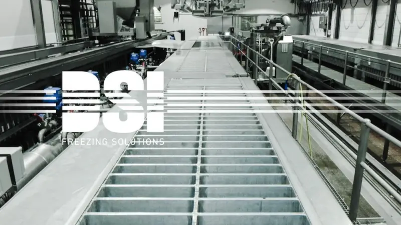 DSI Freezing Solutions