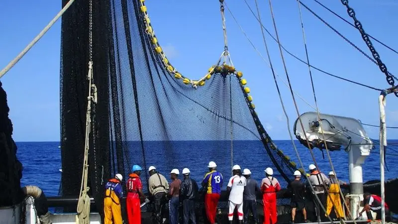 Spanish concern over bigeye measures