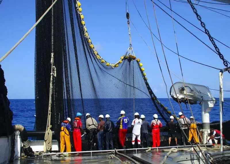 Spanish concern over bigeye measures