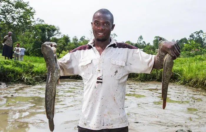 Farm Africa's report maps out plans for a profitable Kenya aquaculture sector Photo: Farm Africa/Mwangi Kirubi