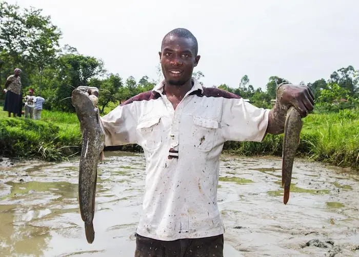 Farm Africa's report maps out plans for a profitable Kenya aquaculture sector Photo: Farm Africa/Mwangi Kirubi