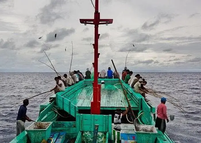 Indonesia has gained its first MSC accreditation Photo: MSC