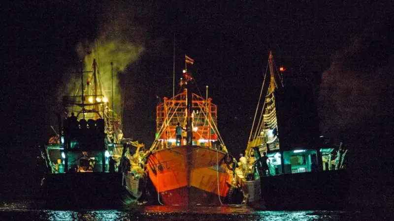 The EJF has welcomed Thailand's adoption of regulations to improve the fishing sector Photo: EJF