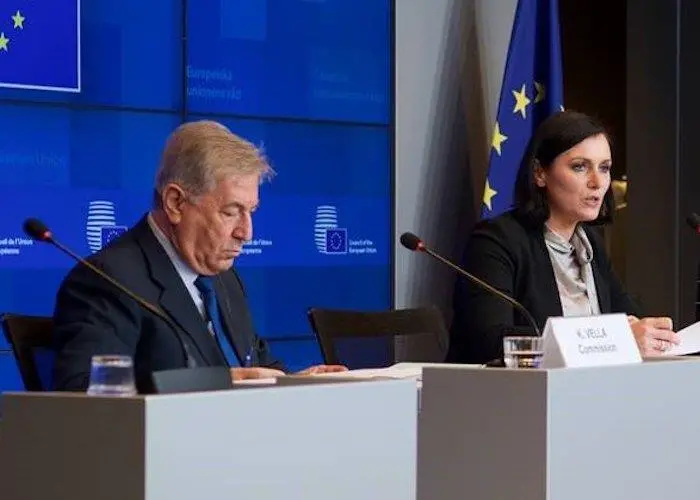 2019 quotas agreed at December Council