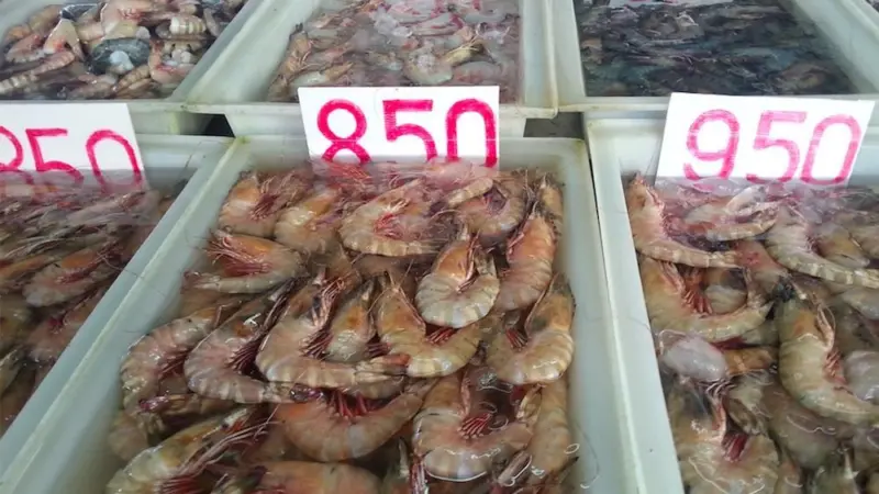 Shrimp and prawn production booming in Russia
