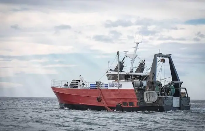 A recent report shows that the Australian fishery and aquaculture production is growing Photo: AFMA