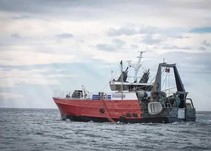 A recent report shows that the Australian fishery and aquaculture production is growing Photo: AFMA