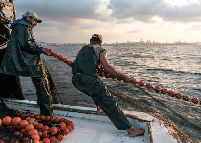 The main commercial fish species in the Mediterranean and Black Sea are still over-fished but pressure has reduced over past years Photo: FAO