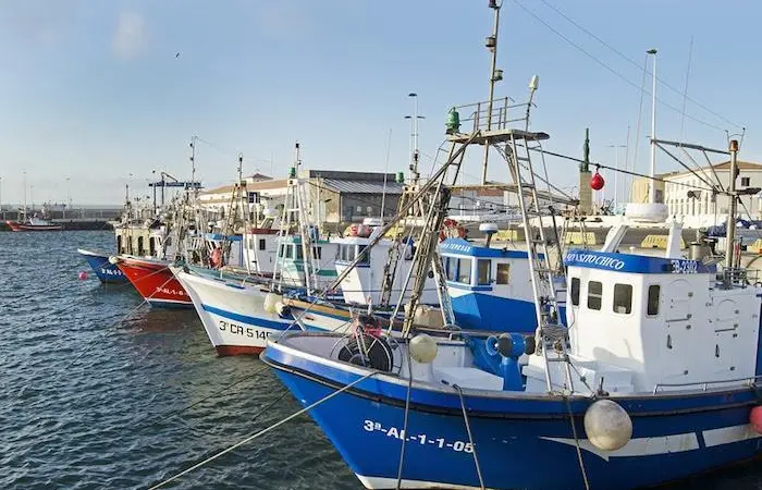 Europêche has welcomed EC plans to better manage demersal fisheries in the western Mediterranean Photo: Europêche