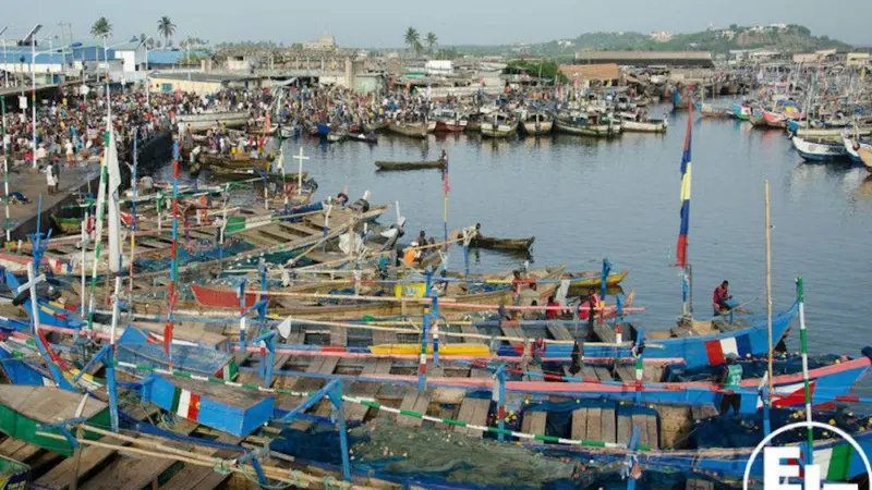 Transparency is needed to stop illegal practices in the Ghanaian fishing industry, according to the EJF Photo: EJF