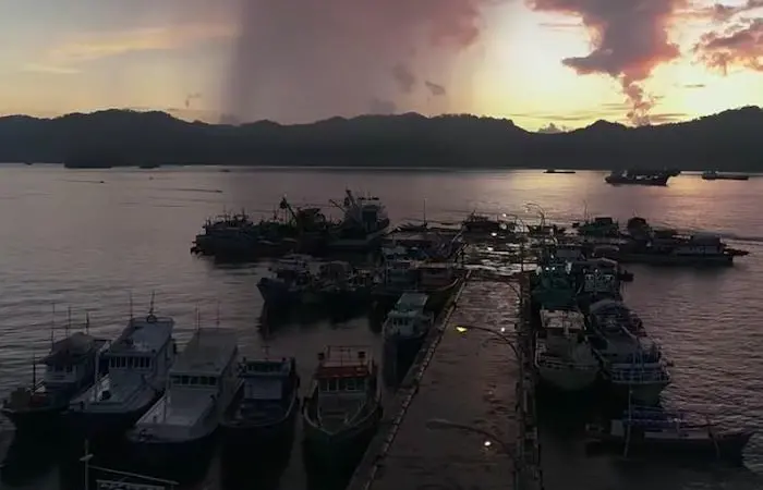 The IPNLF has released a new film about the tuna industry in Indonesia Photo: IPNLF