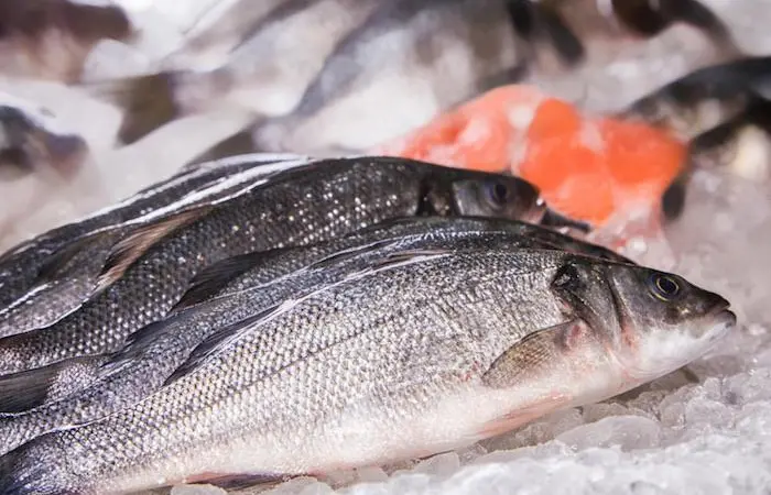 European aquaculture - Too soon to be bullish