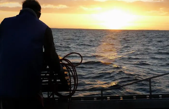 WAFIC has welcomed news that the government has revised a lobster reform proposal Photo: WAFIC